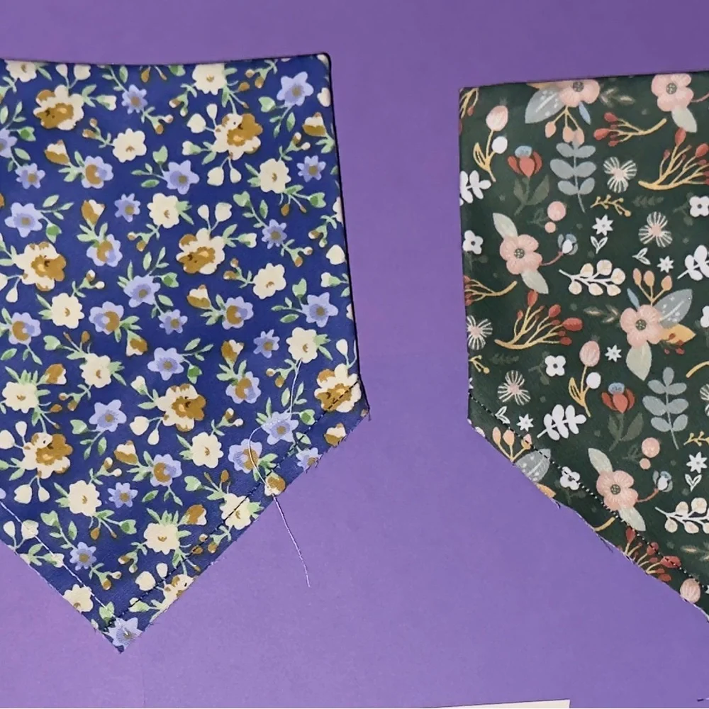 Van Gogh Inspired Dog Bandana with Cat Design